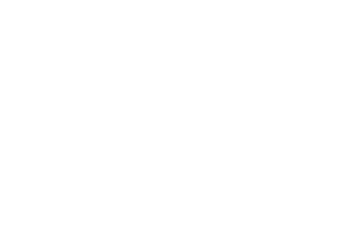 Finalist — Feel The Reel International Film Festival 2025